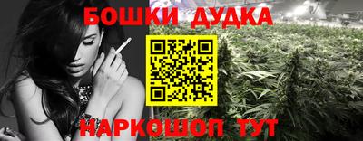 мяу мяу мука Гусь-Хрустальный
